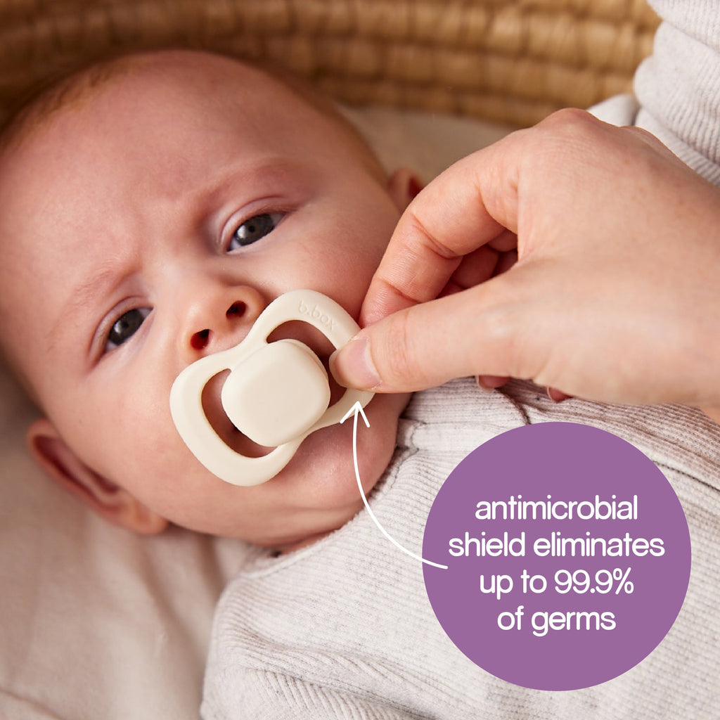 Schnuller-Doppelpack - storm + sky (nur Silikon)