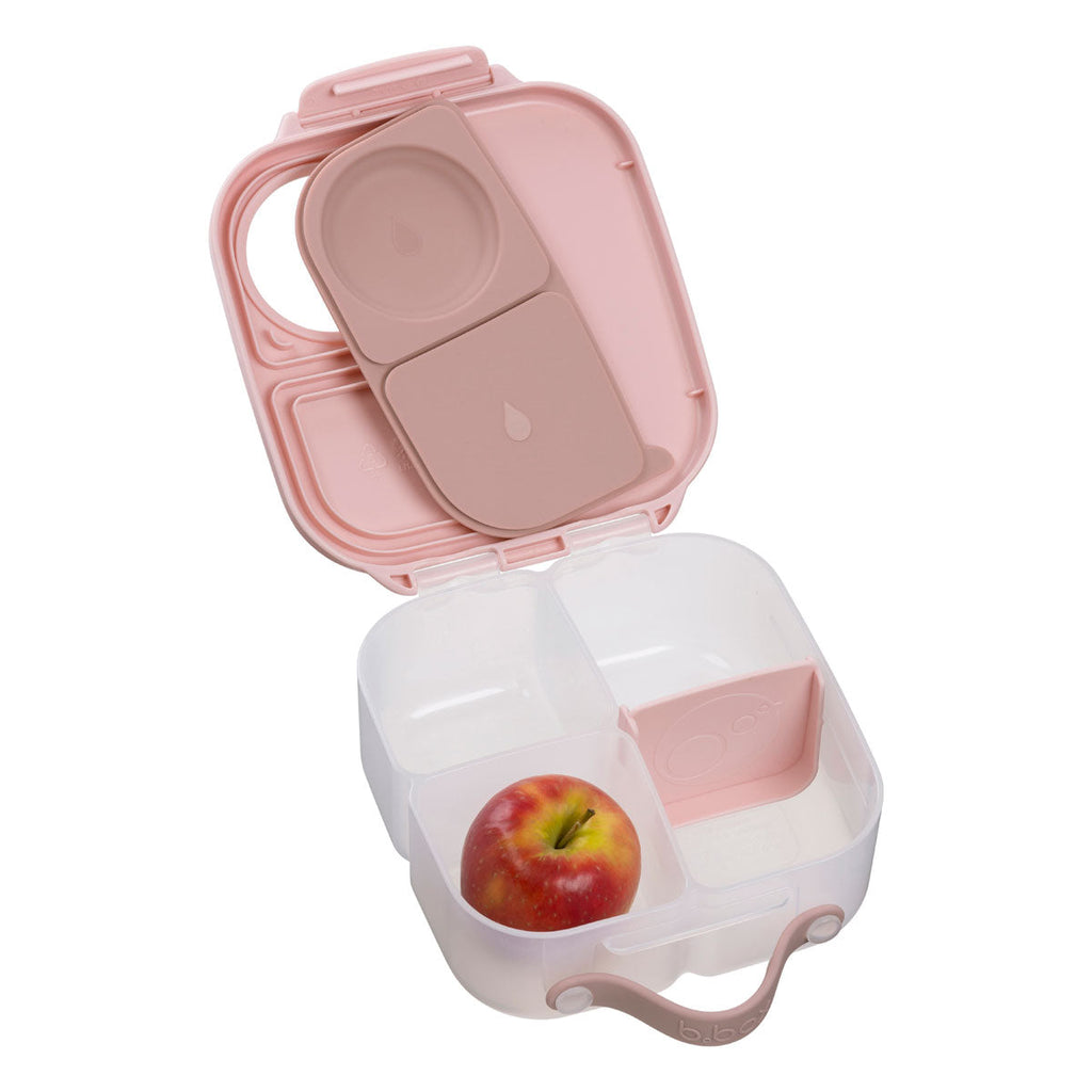 Mini Lunchbox - blush crush
