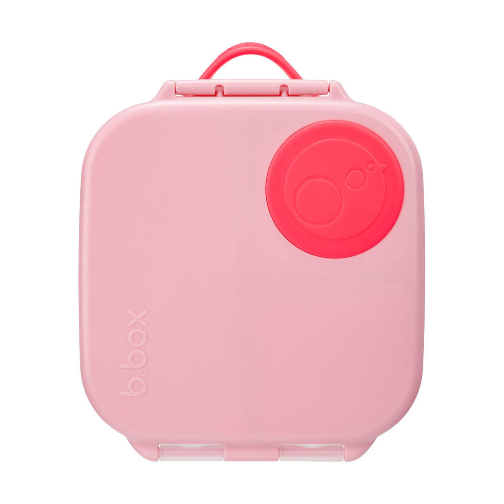 mini lunchbox - flamingo fizz