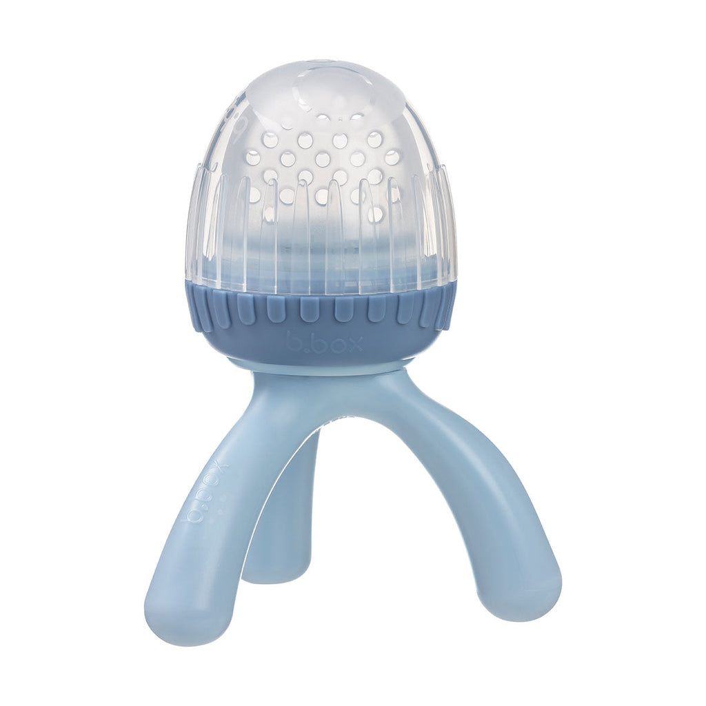 Silicone Fresh Food Feeder - lullaby blue