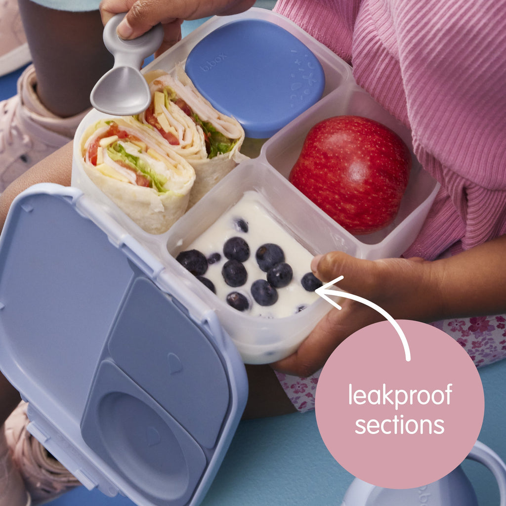 Mini Lunchbox - chill out