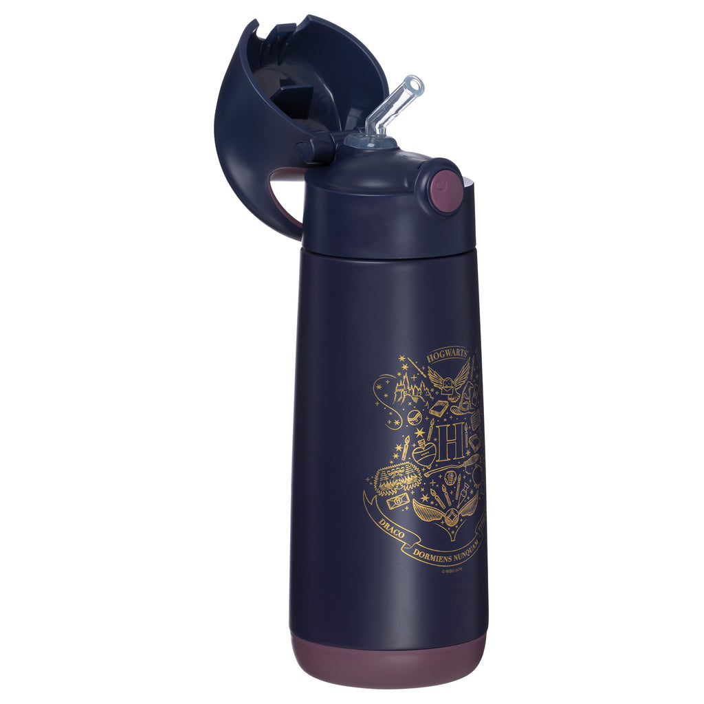 500ml Insulated Drink Bottle - Harry Potter