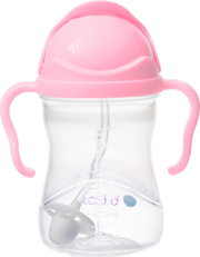 Sippy Cup - cherry blossom