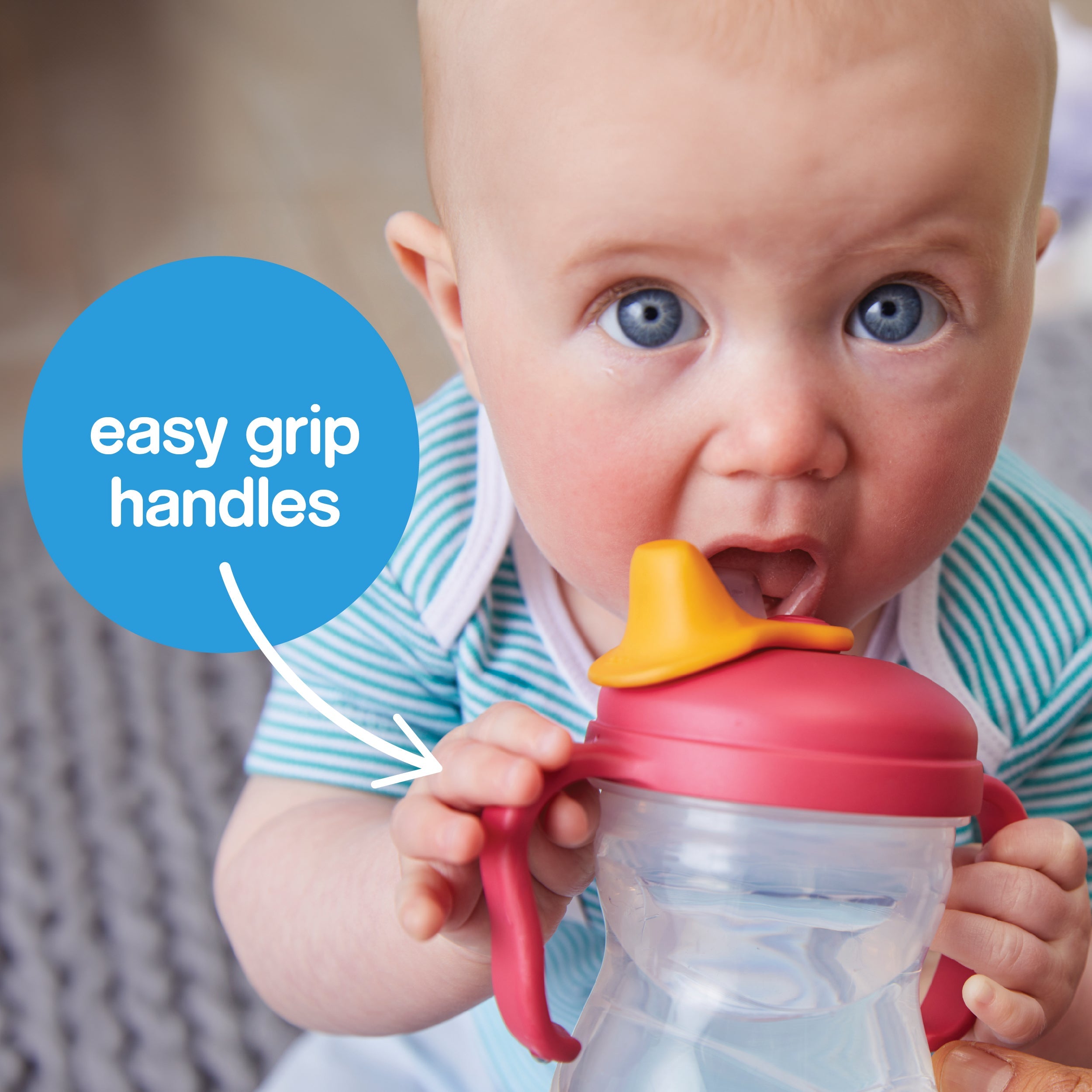 spout cup - grape - b.box for kids