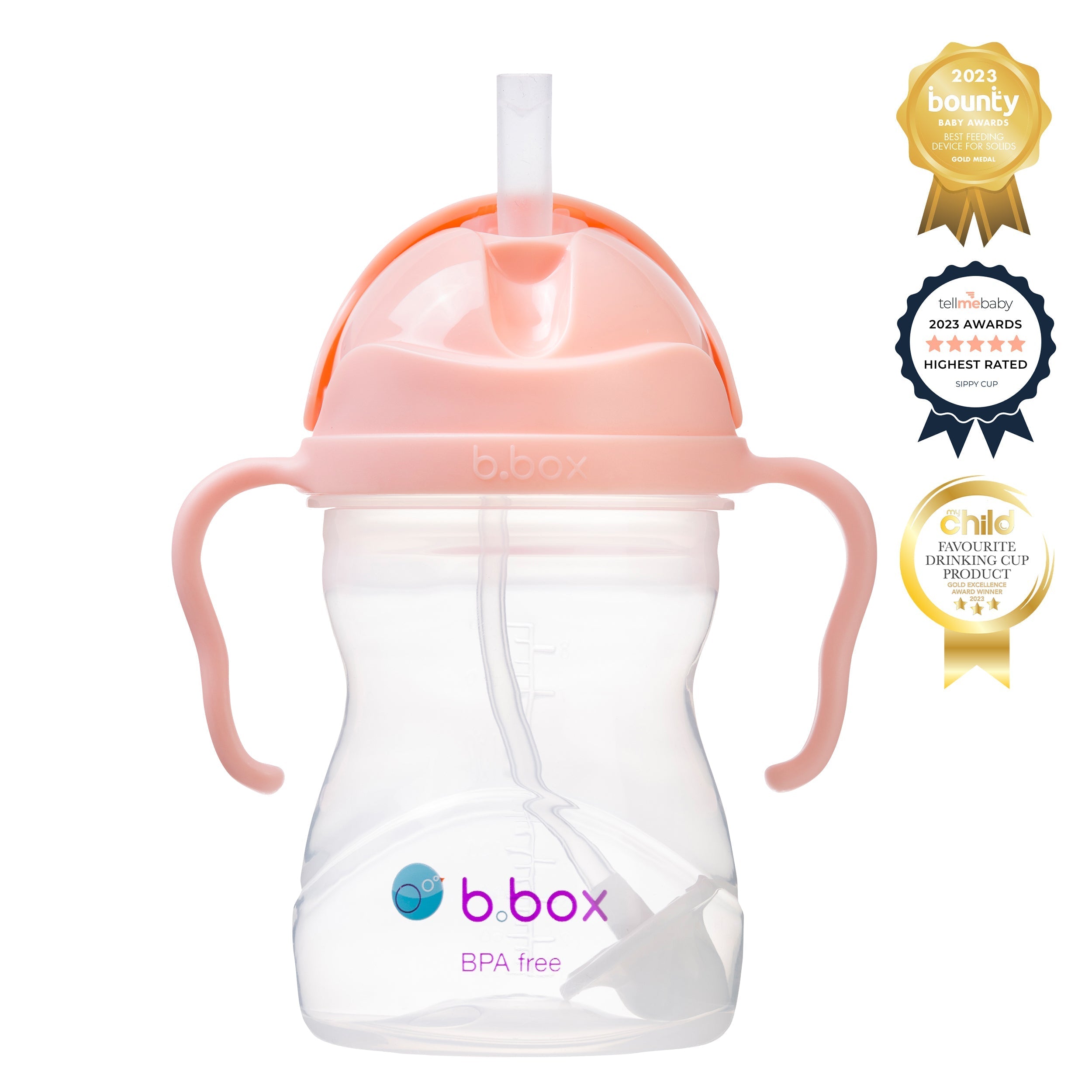 Sippy Cup Gelato - tutti frutti